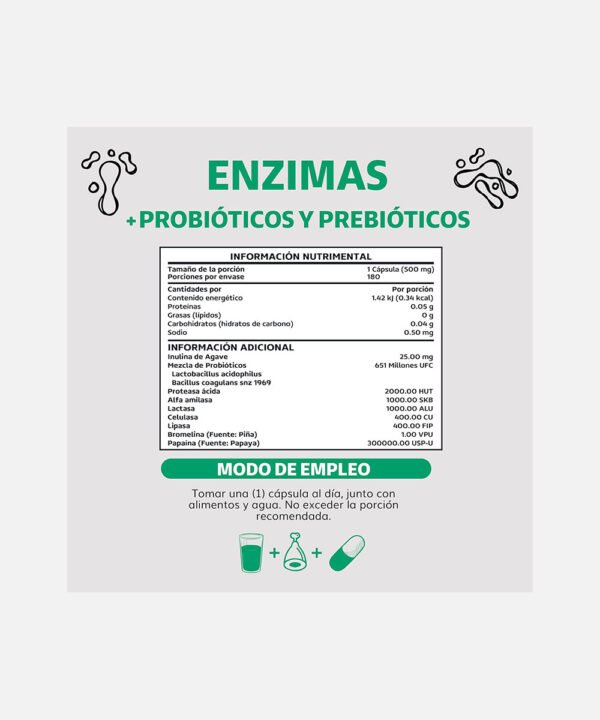 Enzimas + Probióticos y Prebióticos