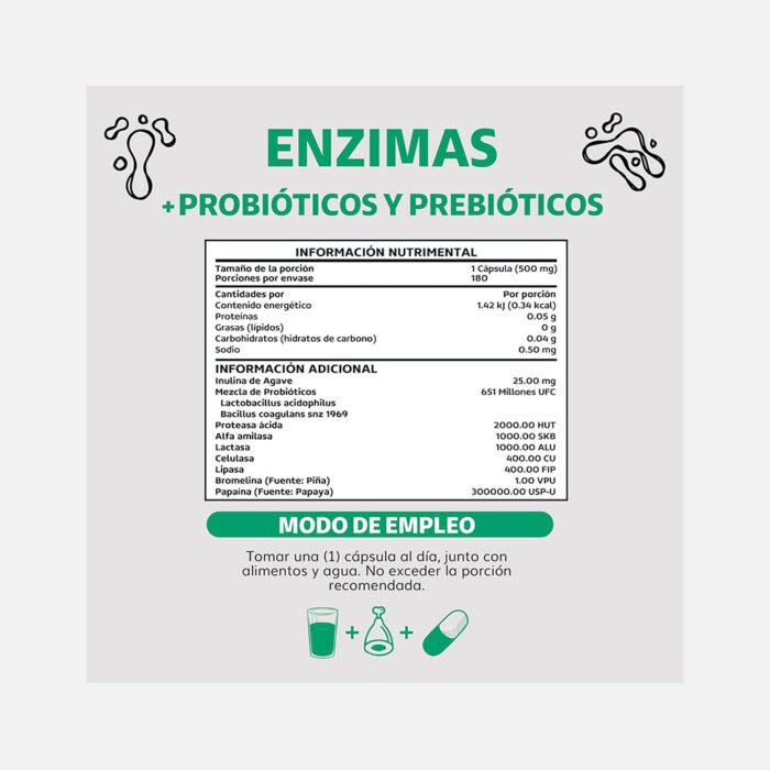 ENZIMAS-+-PROBIOTICOS-Y-PREBIOTICOS-V