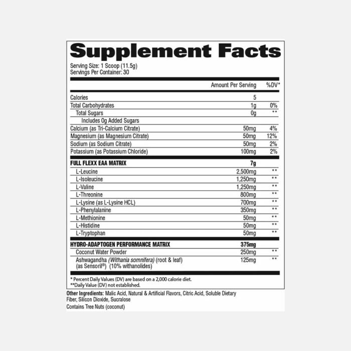 FLEXX-EASS-BEACH-BLAST-V